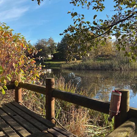 Hazel Oaks, Beautiful Lodge With Hot Tub - Sleeps 6 - Felmoor Park Morpeth Kültér fotó