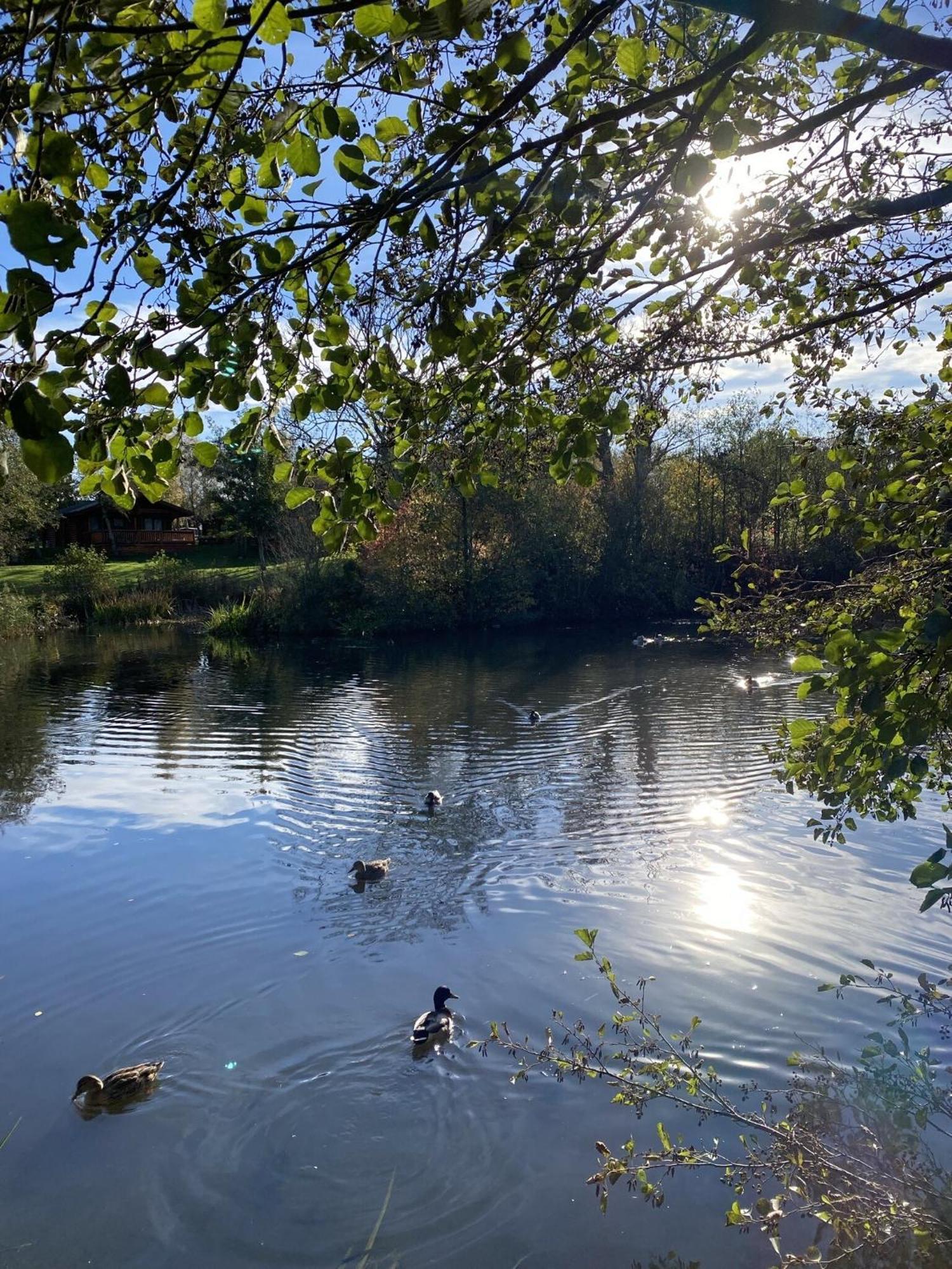 Hazel Oaks, Beautiful Lodge With Hot Tub - Sleeps 6 - Felmoor Park Morpeth Kültér fotó