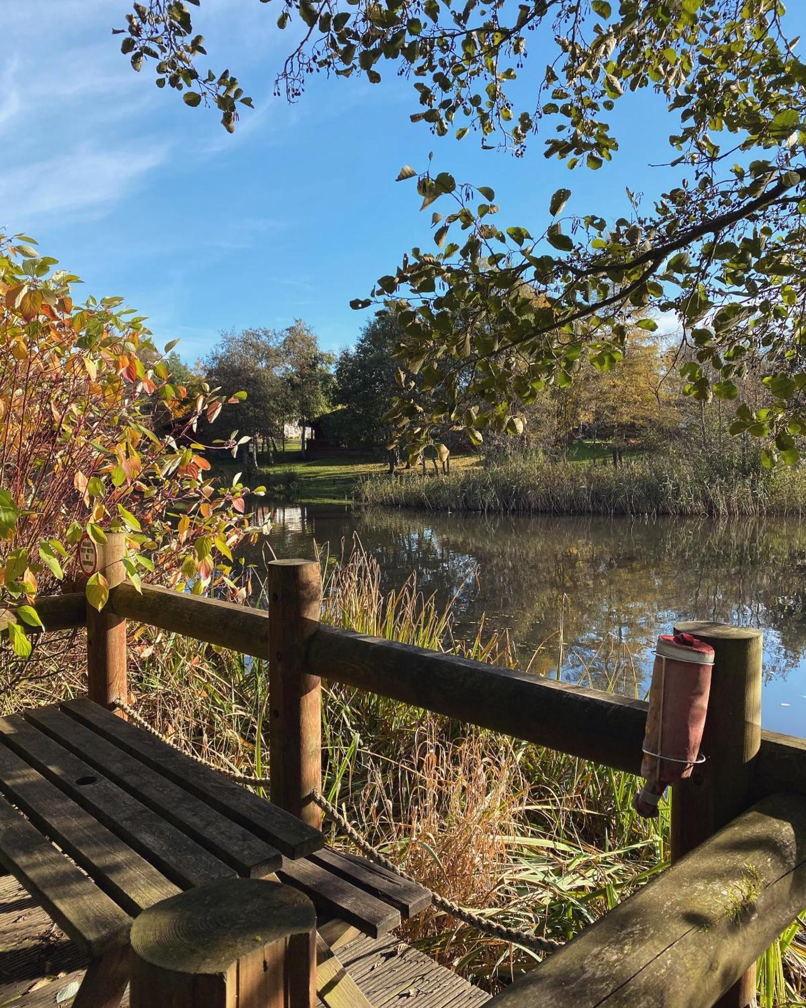 Hazel Oaks, Beautiful Lodge With Hot Tub - Sleeps 6 - Felmoor Park Morpeth Kültér fotó